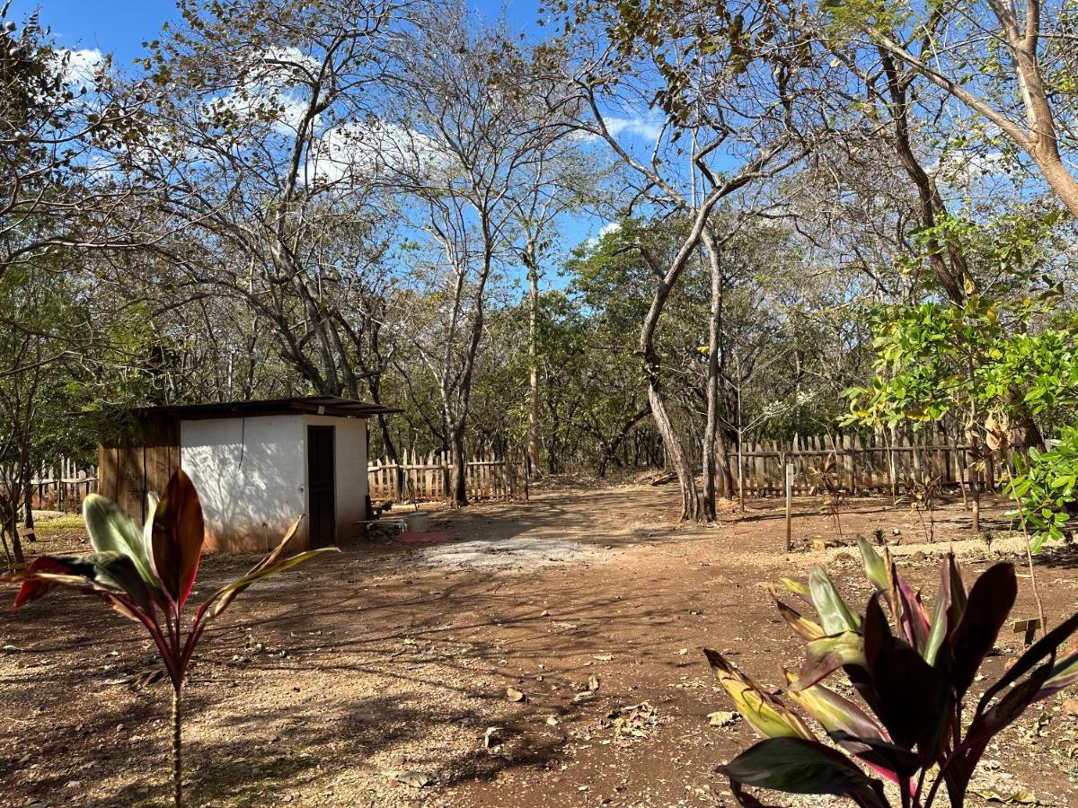 Finca Avellanas Lorena Exterior foto