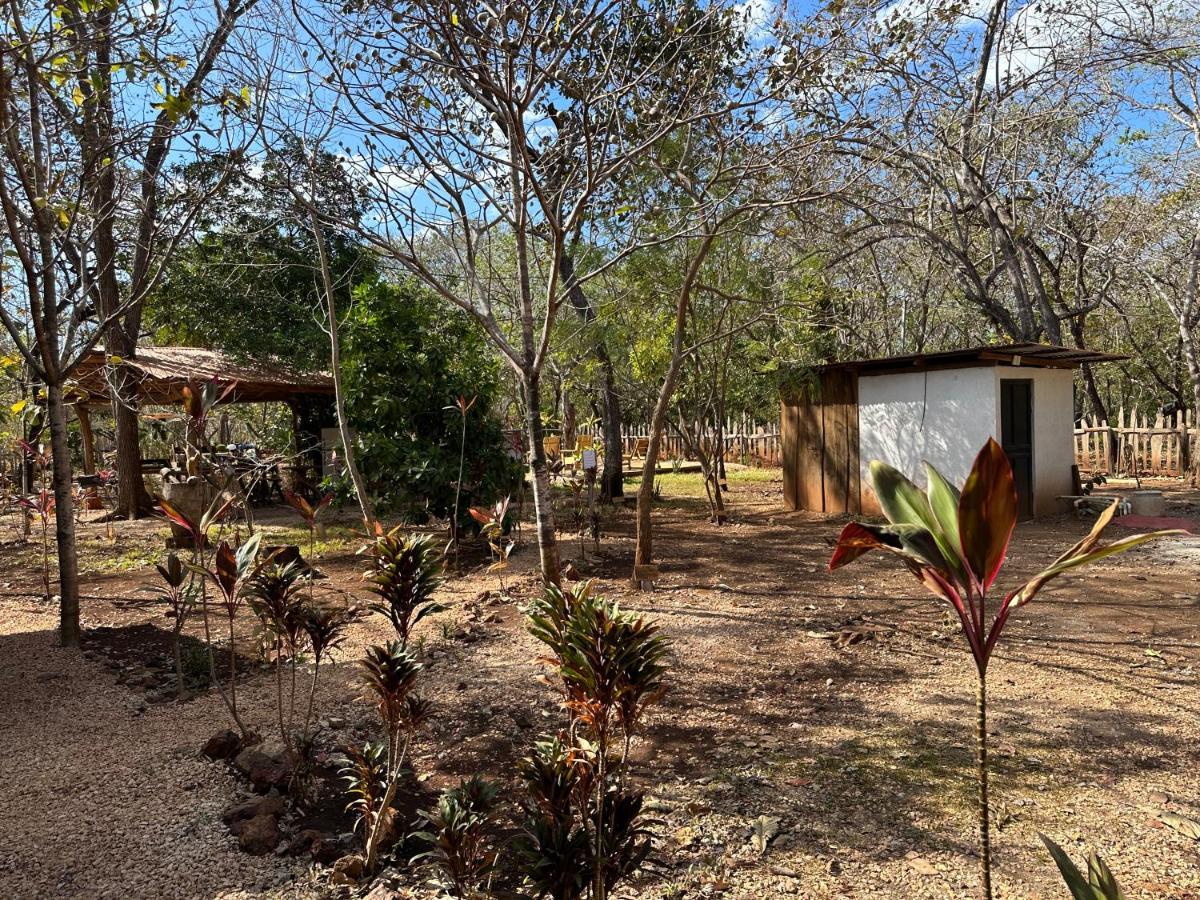 Finca Avellanas Lorena Exterior foto