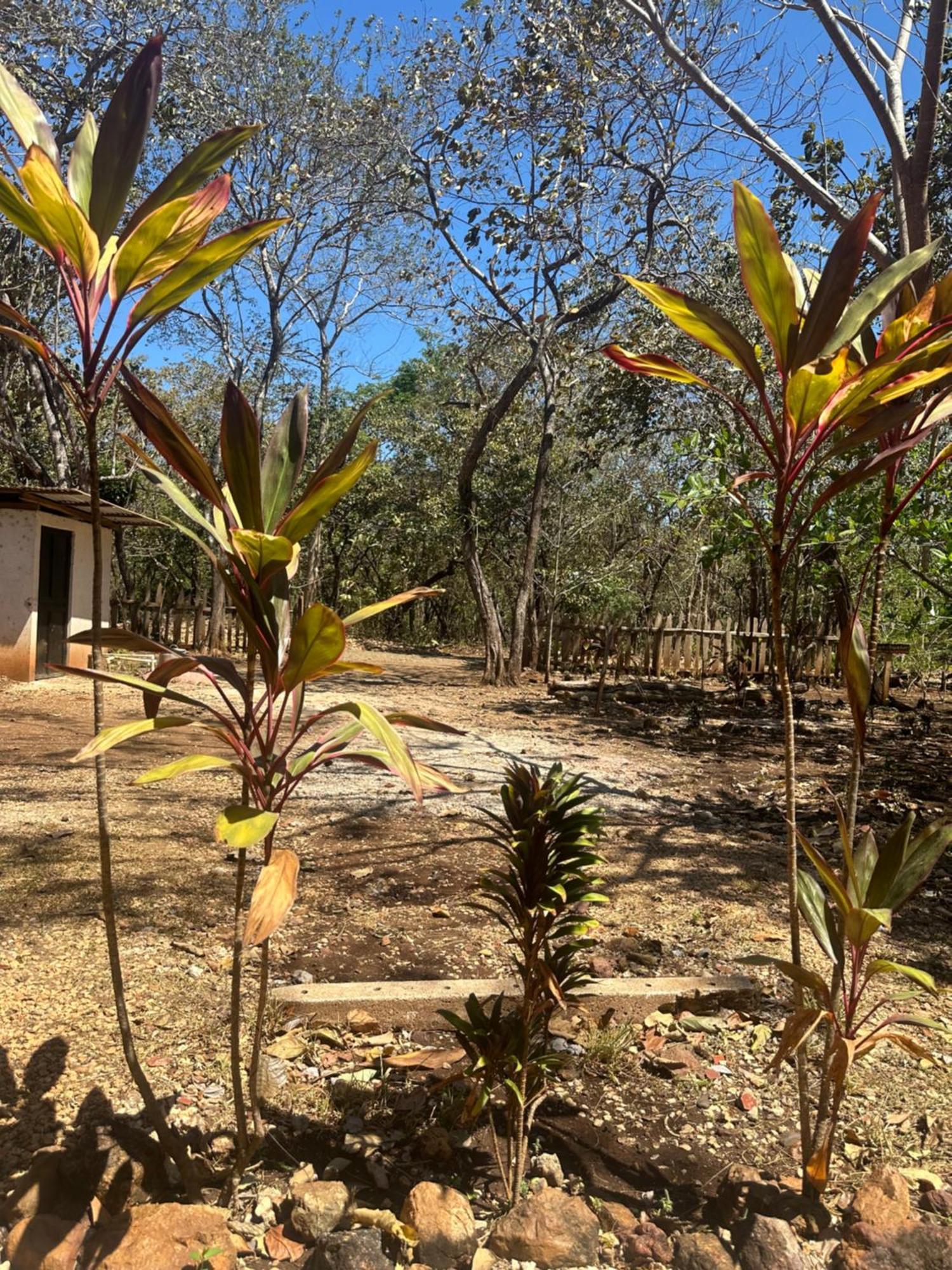Finca Avellanas Lorena Exterior foto