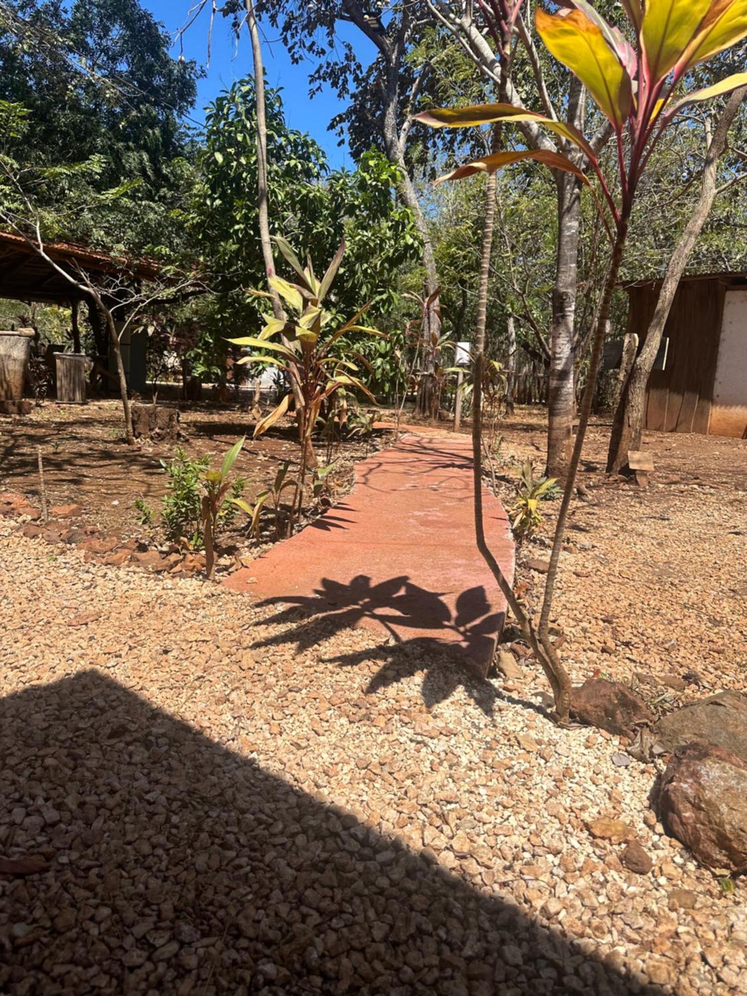 Finca Avellanas Lorena Exterior foto